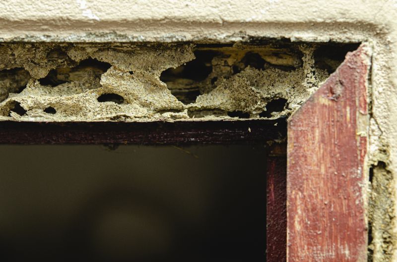 Cost of Door Frame Repair — Cost of Door Frame Repair